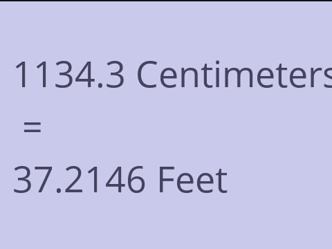 1134.3 CM TO FEET