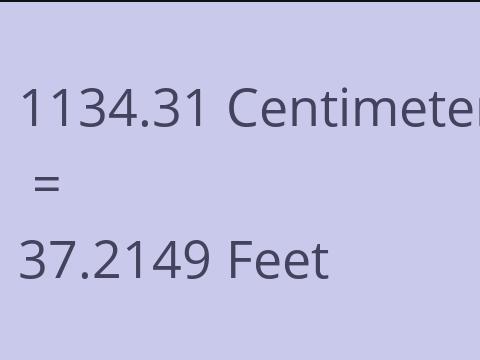 1134.31 CM TO FEET