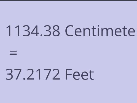 1134.38 CM TO FEET