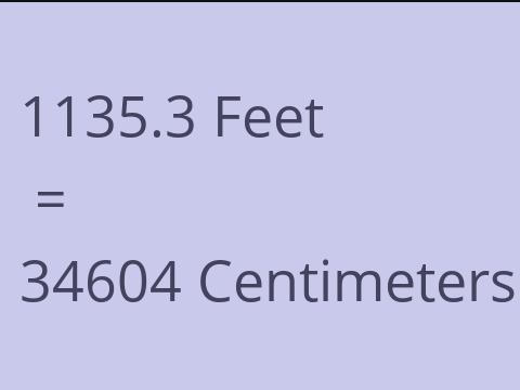 1135.3 FEET TO CM