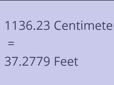 1136.23 CM TO FEET