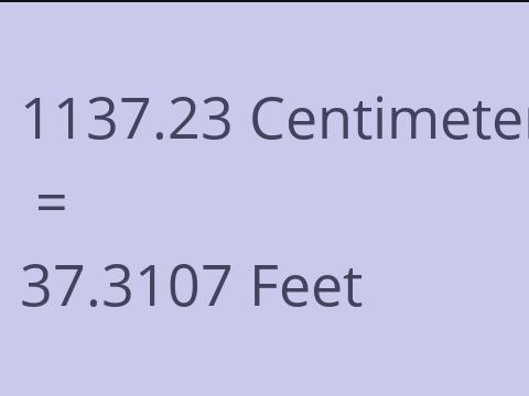 1137.23 CM TO FEET