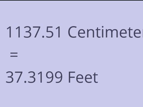 1137.51 CM TO FEET