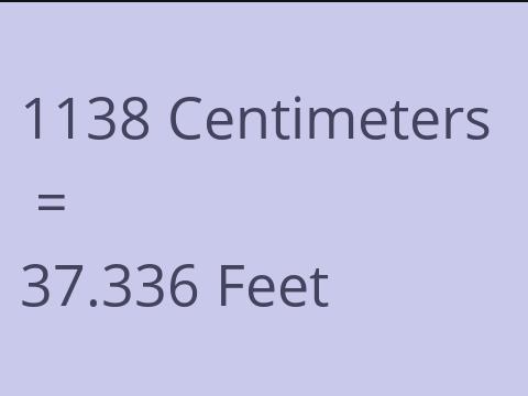 1138 CM TO FEET