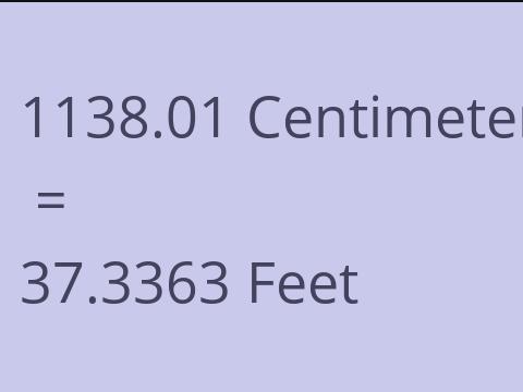 1138.01 CM TO FEET