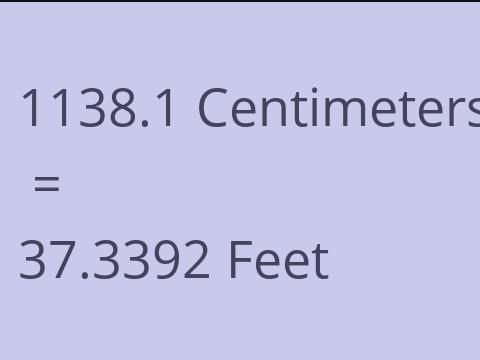 1138.1 CM TO FEET