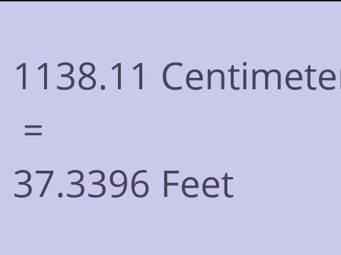 1138.11 CM TO FEET