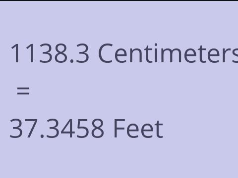 1138.3 CM TO FEET