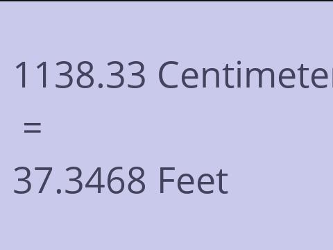 1138.33 CM TO FEET