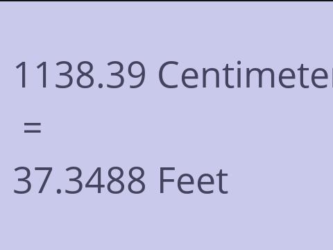 1138.39 CM TO FEET