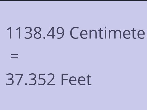 1138.49 CM TO FEET