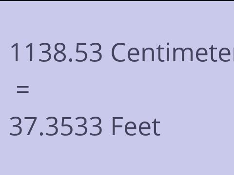 1138.53 CM TO FEET