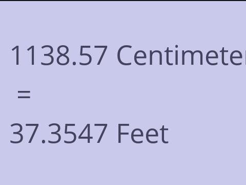 1138.57 CM TO FEET