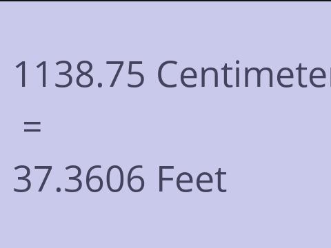 1138.75 CM TO FEET