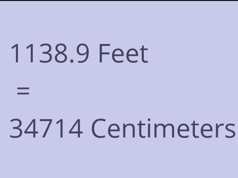 1138.9 FEET TO CM