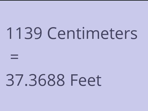 1139 CM TO FEET