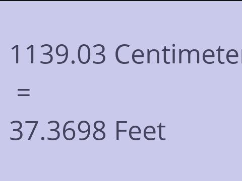 1139.03 CM TO FEET