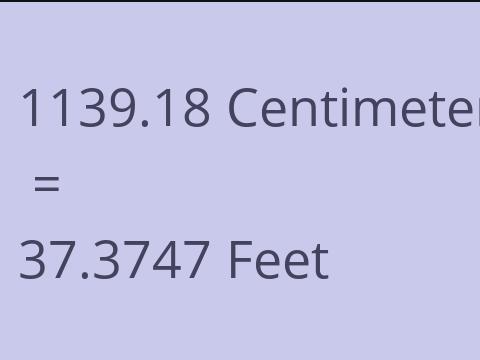 1139.18 CM TO FEET