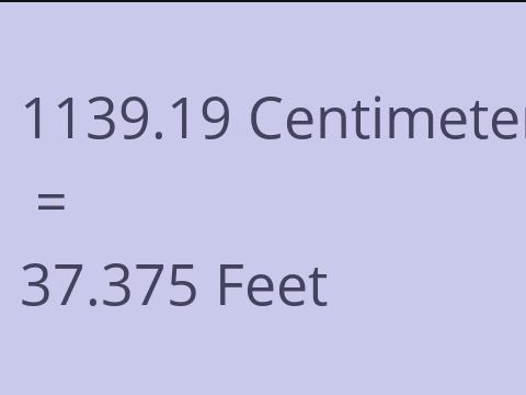 1139.19 CM TO FEET