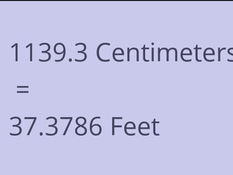 1139.3 CM TO FEET