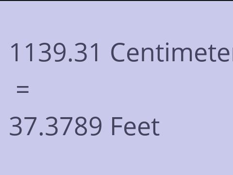 1139.31 CM TO FEET