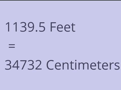 1139.5 FEET TO CM