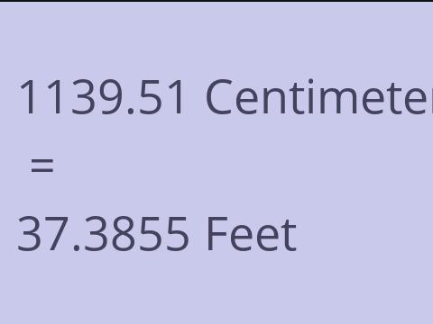 1139.51 CM TO FEET