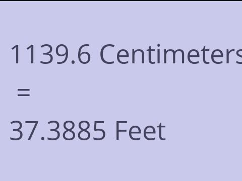 1139.6 CM TO FEET