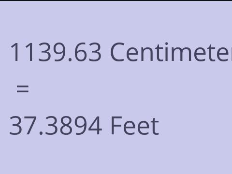 1139.63 CM TO FEET