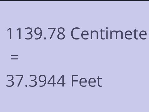 1139.78 CM TO FEET