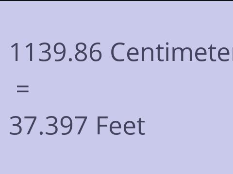 1139.86 CM TO FEET