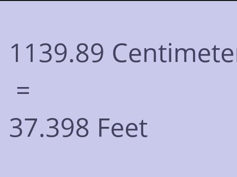 1139.89 CM TO FEET