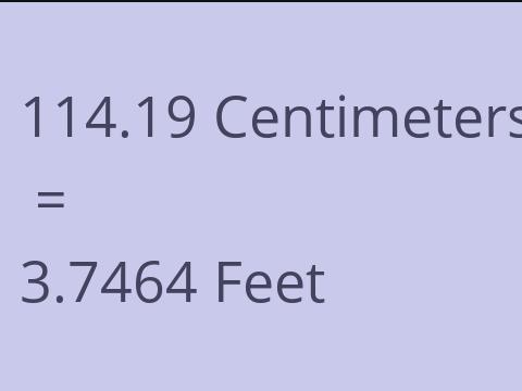 114.19 CM TO FEET