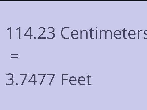 114.23 CM TO FEET