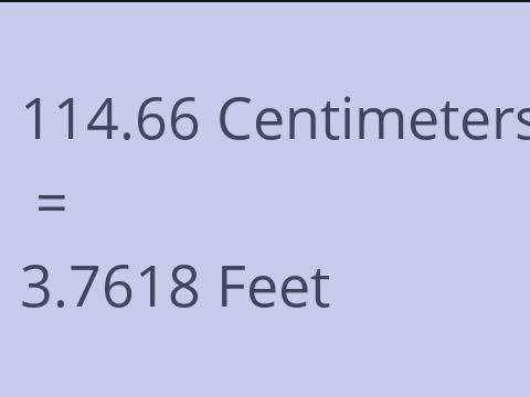 114.66 CM TO FEET