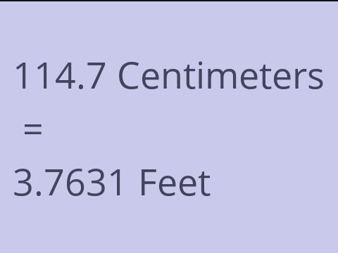 114.7 CM TO FEET