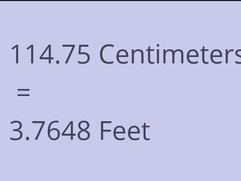 114.75 CM TO FEET