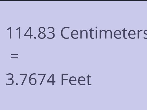 114.83 CM TO FEET