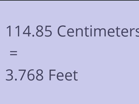 114.85 CM TO FEET