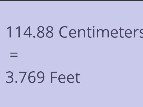 114.88 CM TO FEET