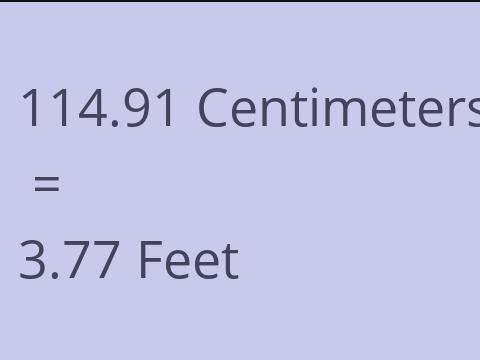 114.91 CM TO FEET