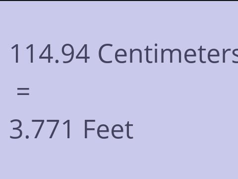 114.94 CM TO FEET