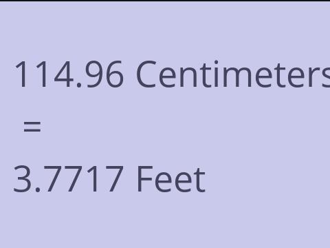 114.96 CM TO FEET