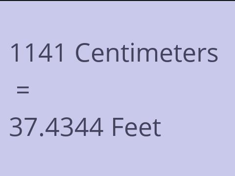 1141 CM TO FEET