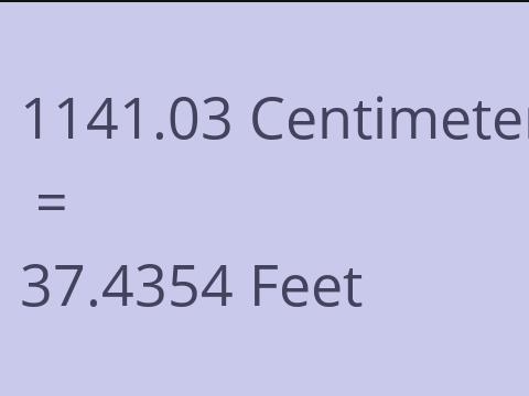 1141.03 CM TO FEET