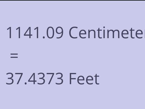 1141.09 CM TO FEET