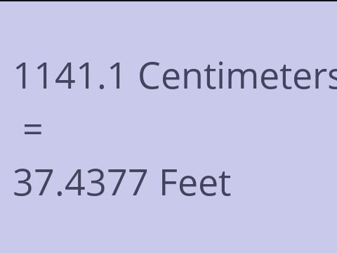 1141.1 CM TO FEET