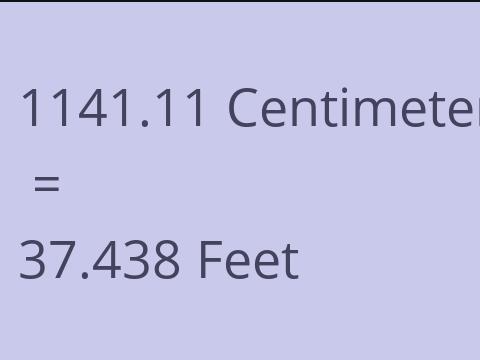 1141.11 CM TO FEET