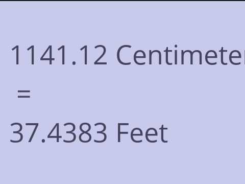 1141.12 CM TO FEET