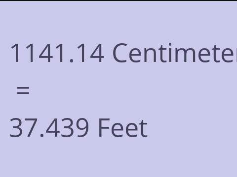 1141.14 CM TO FEET